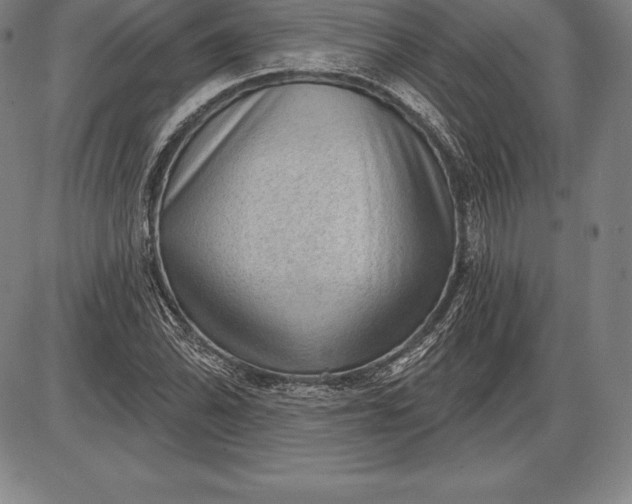 X0000085821070200703301547