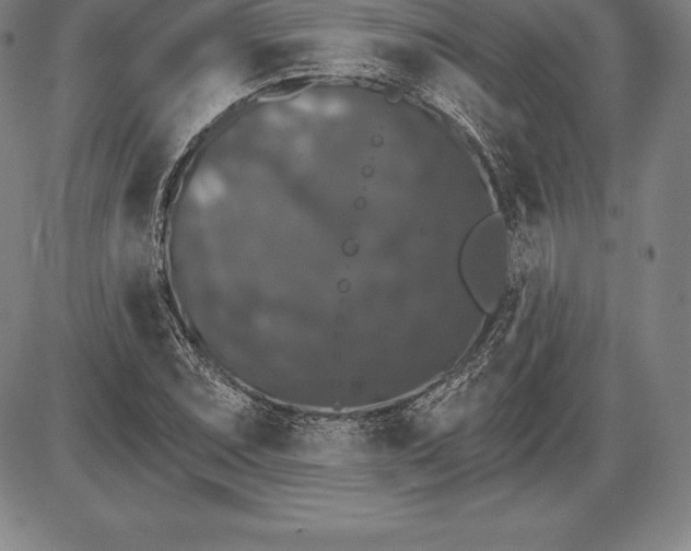X0000085821071200703301547
