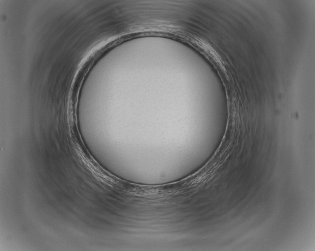 X0000085821072200703301547