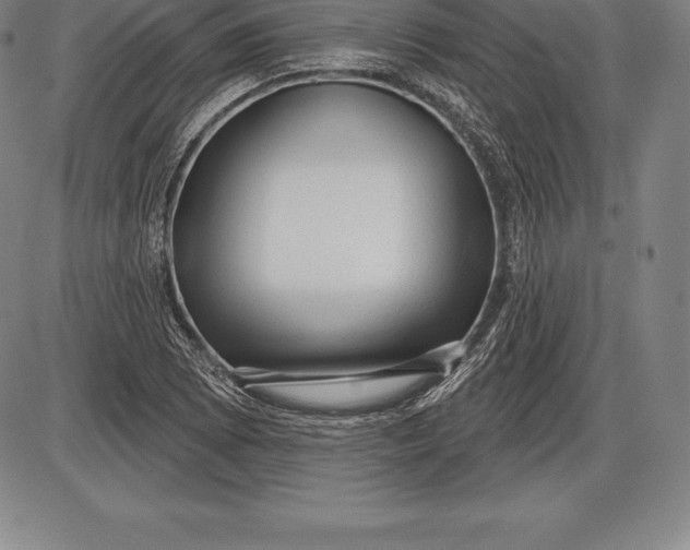 X0000085821073200703301547