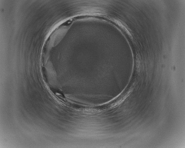 X0000085821077200703301547