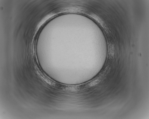 X0000085821078200703301547