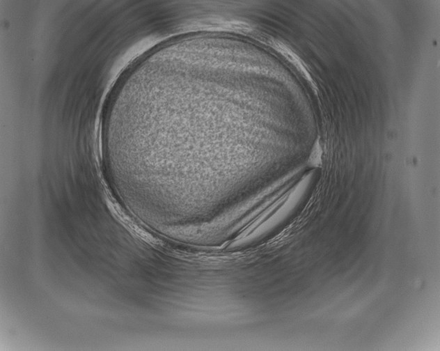 X0000085821080200703301547