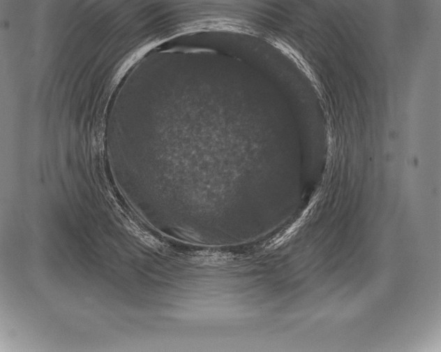 X0000085821081200703301547
