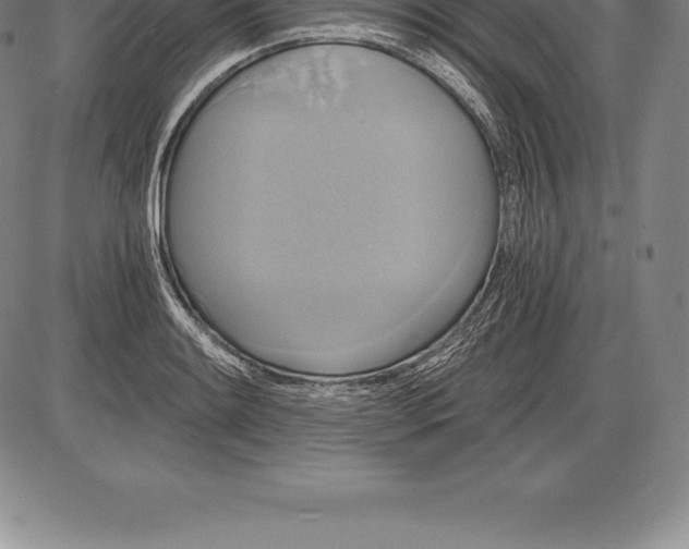 X0000085821084200703301547