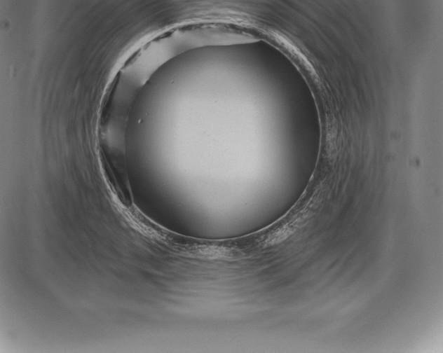 X0000085821085200703301547