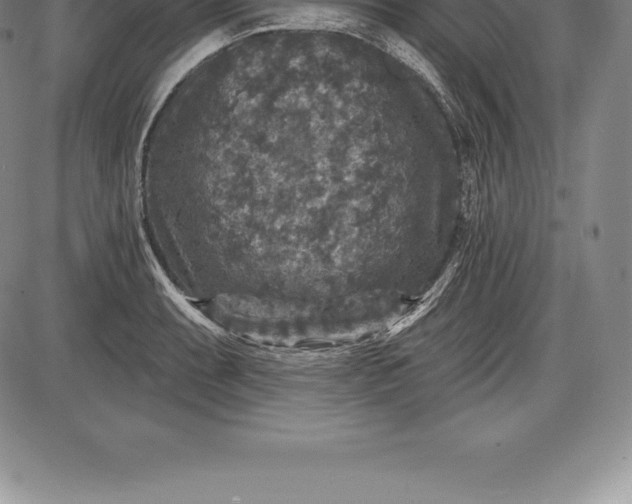 X0000085821087200703301547