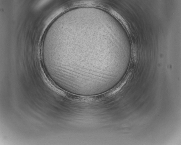 X0000085821090200703301547