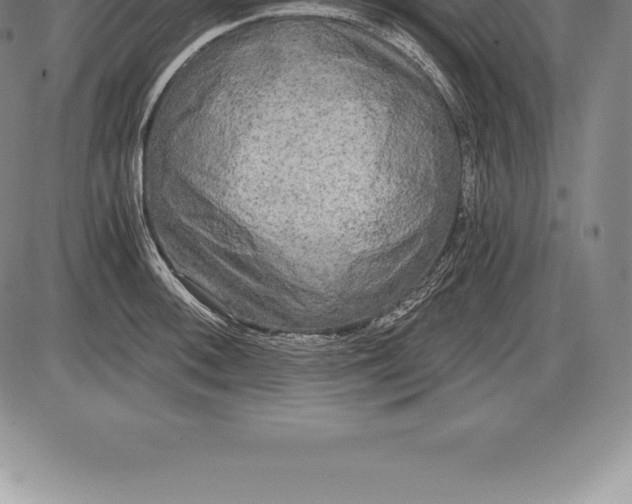 X0000085821092200703301547