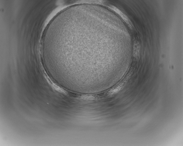X0000085821094200703301547
