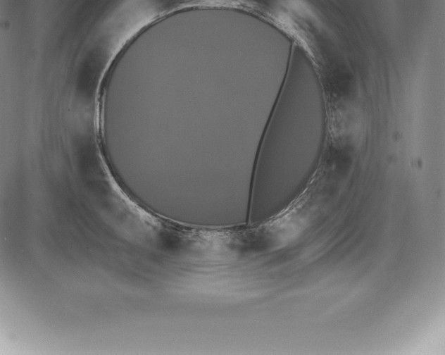 X0000085821095200703301547