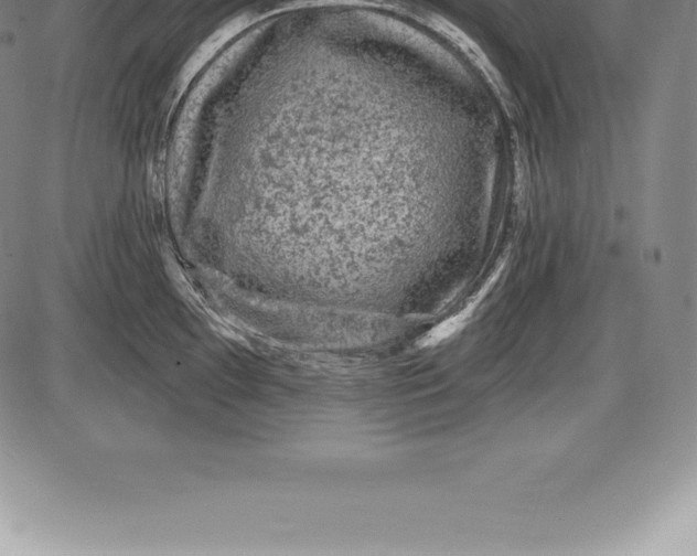 X0000085821097200703301547