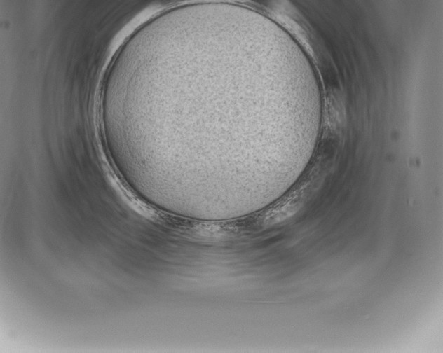 X0000085821098200703301547