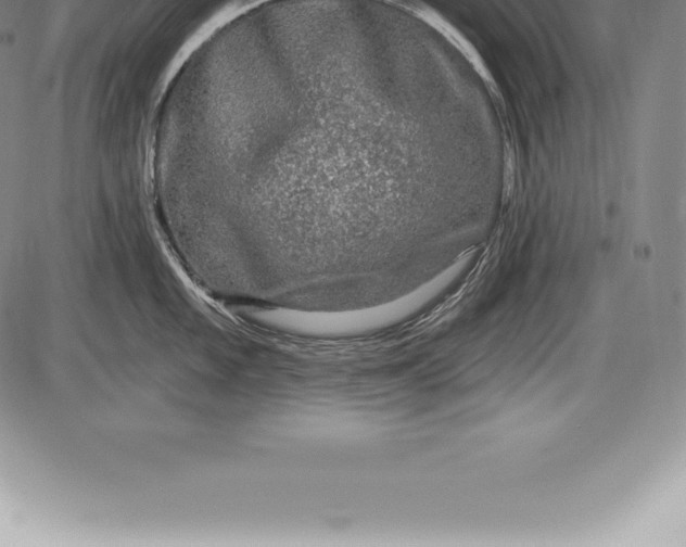 X0000085821101200703301547