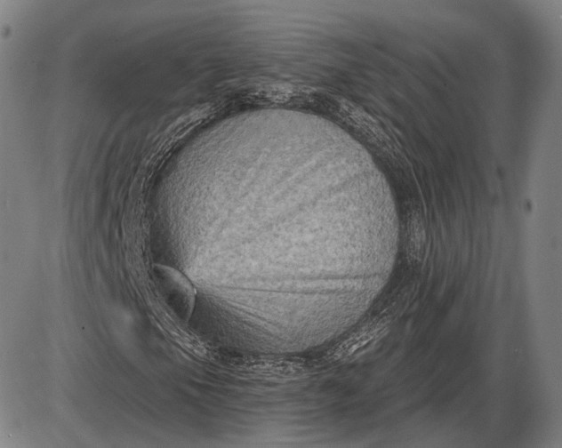 X0000085821105200703301546