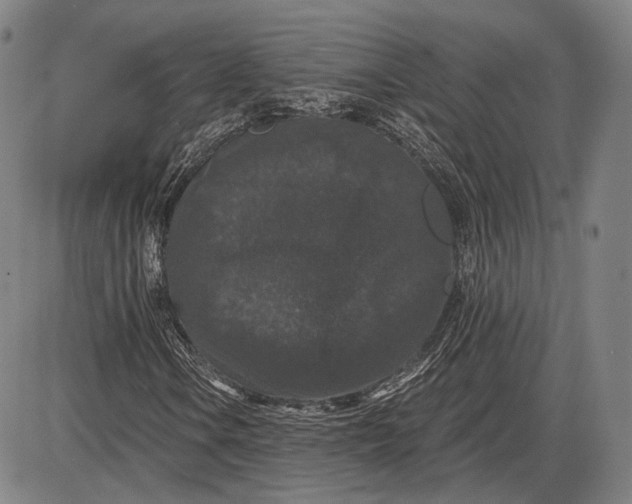 X0000085821106200703301546