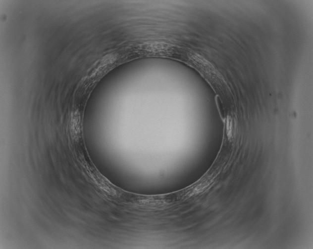 X0000085821107200703301546