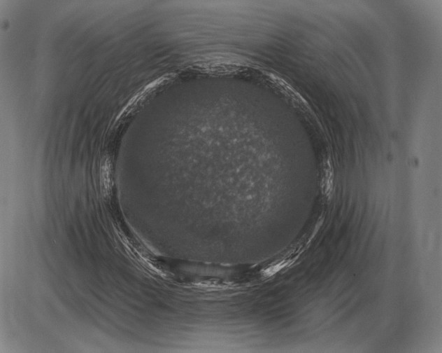 X0000085821108200703301546