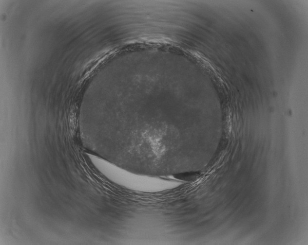 X0000085821110200703301546