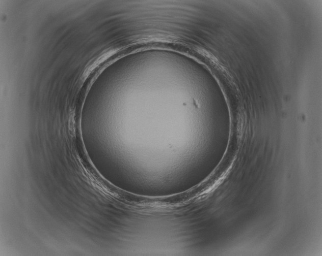 X0000085821113200703301546