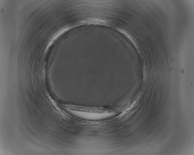 X0000085821115200703301546
