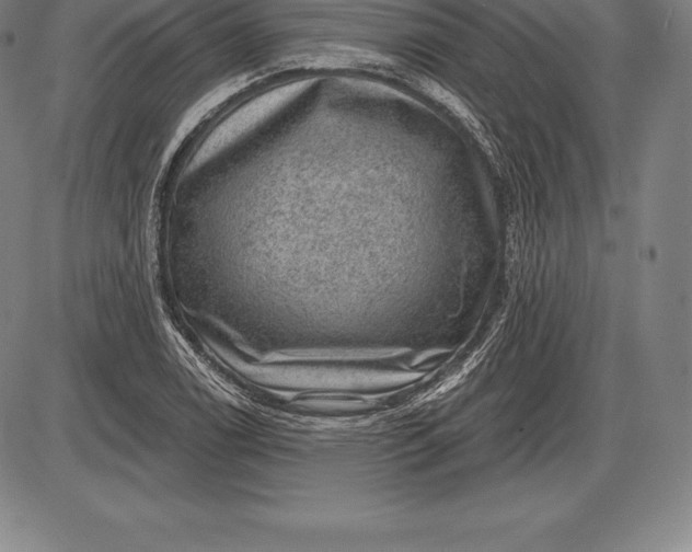 X0000085821122200703301546