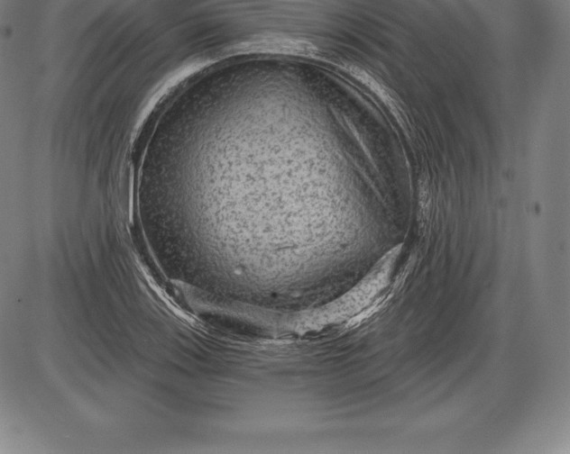 X0000085821123200703301546