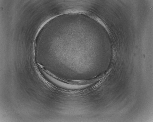 X0000085821124200703301546