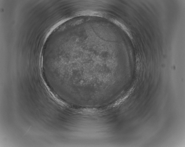 X0000085821125200703301546