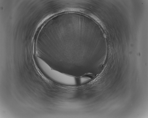 X0000085821127200703301546