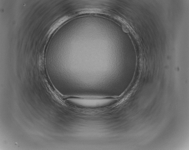 X0000085821129200703301546
