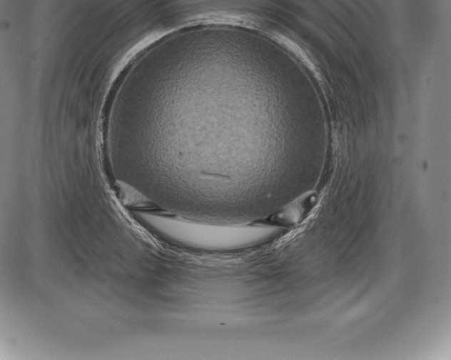 X0000085821133200703301547