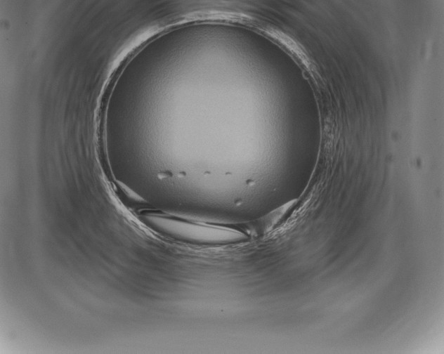 X0000085821135200703301547