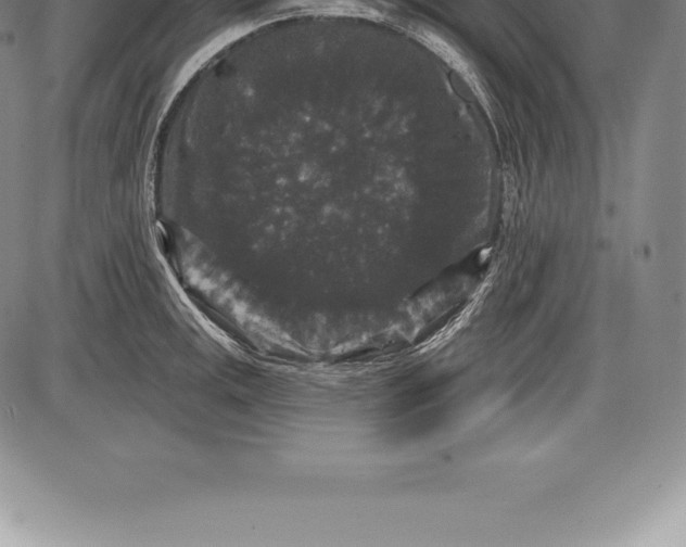 X0000085821141200703301547