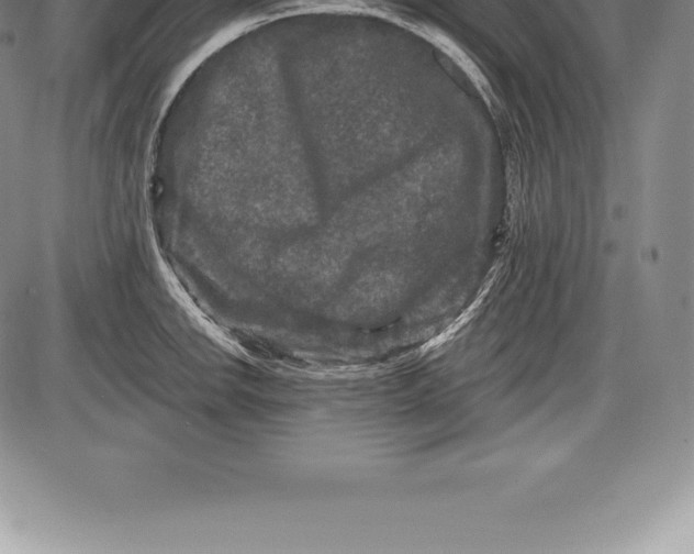 X0000085821142200703301547