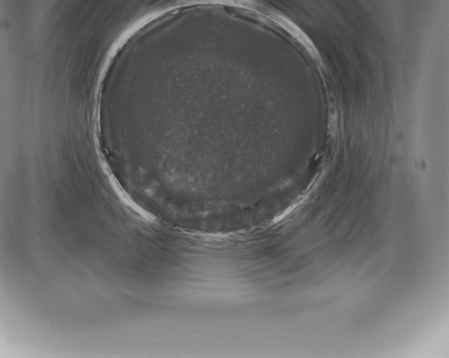 X0000085821144200703301547