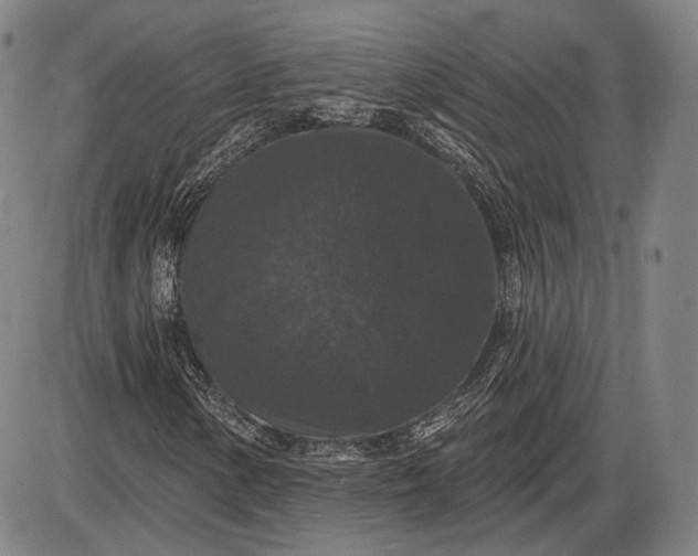X0000085821154200703301546