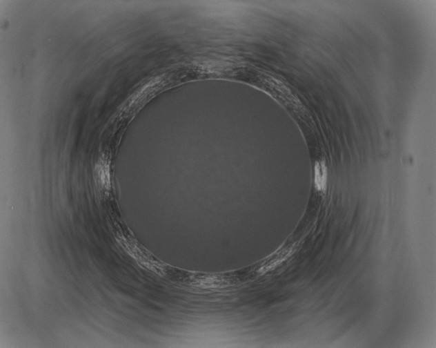 X0000085821155200703301546