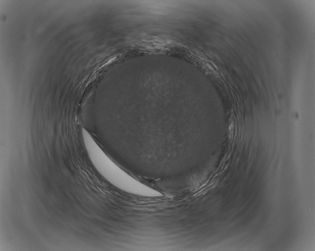 X0000085821156200703301546