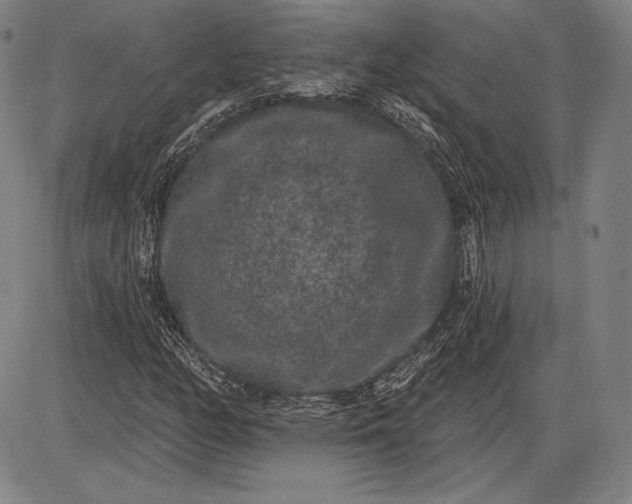 X0000085821158200703301546