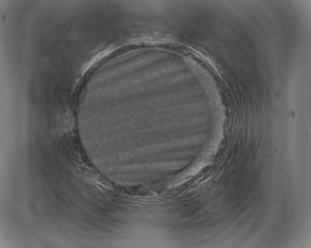 X0000085821160200703301546