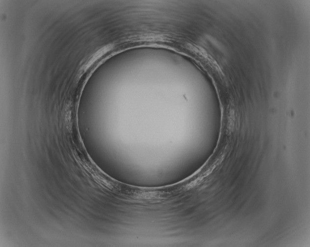 X0000085821162200703301546