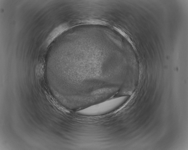 X0000085821163200703301546