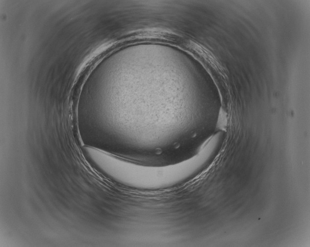 X0000085821164200703301546