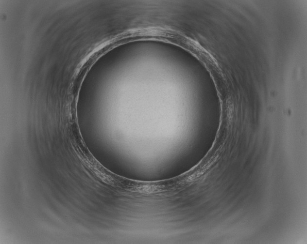 X0000085821166200703301546