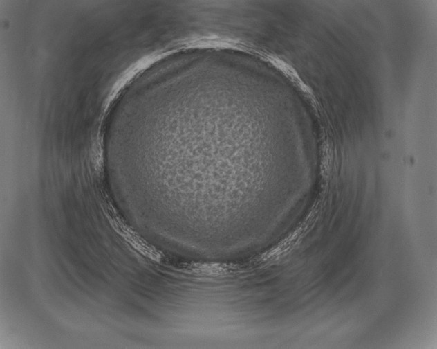 X0000085821167200703301546