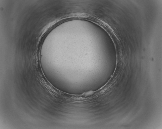 X0000085821168200703301546