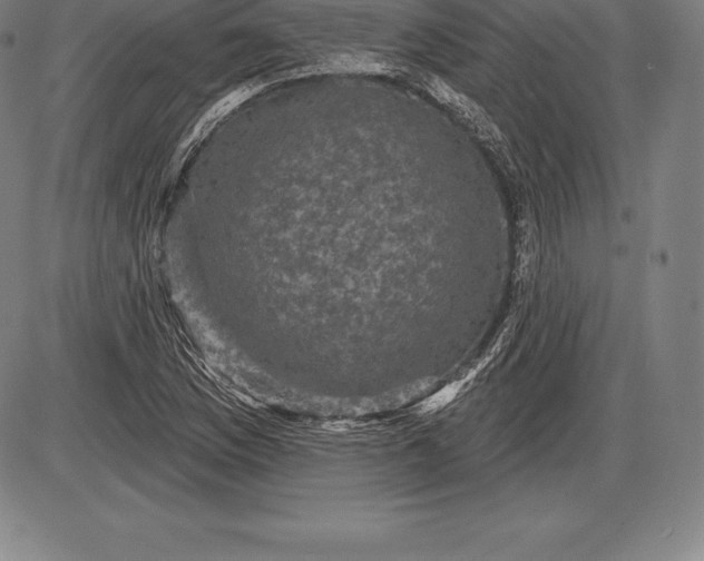 X0000085821169200703301546