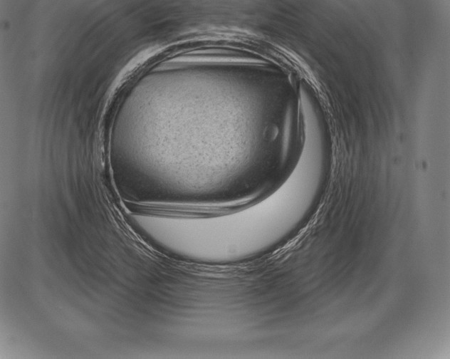 X0000085821172200703301546