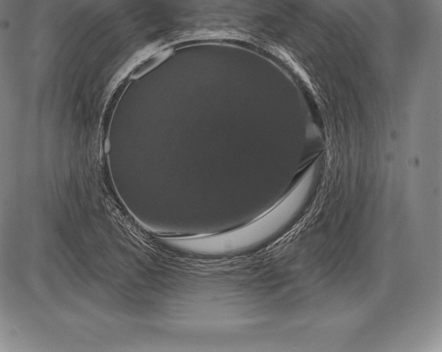 X0000085821173200703301546
